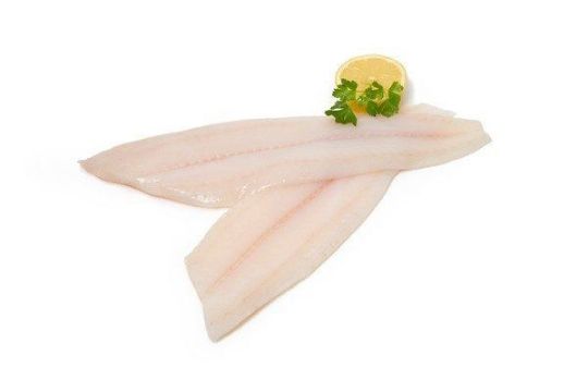 Picture of Tongue Sole Fish