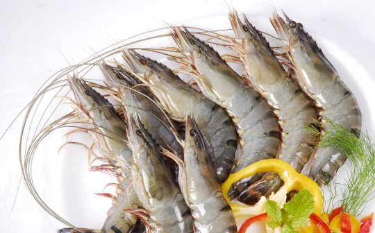 Picture of Tiger Prawn