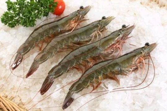 Picture of Vannamei Prawn 20/30 - 1 kg