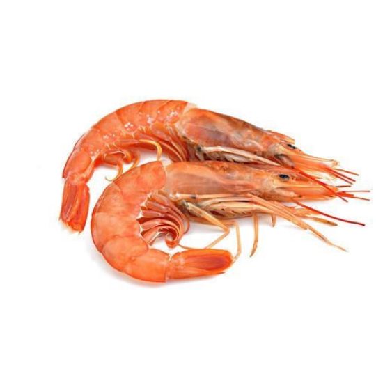Picture of Red Tiger Prawn