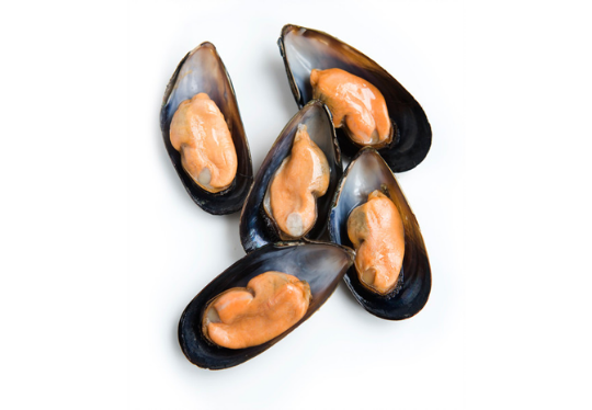 Picture of Black Sea Mussles