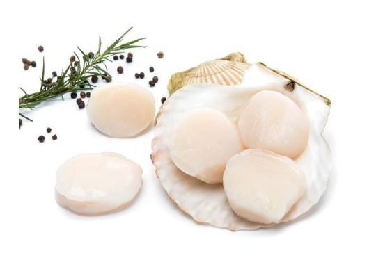 Picture of Scallops Meat