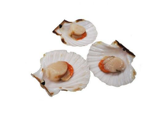 Picture of Scallops In Shell