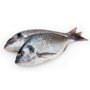 Picture for category Sea Bream