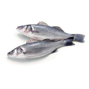 Picture for category Seabass