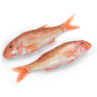 Picture for category  Black Sea Red Mullet