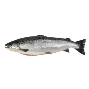 Picture for category Norwegian Salmon