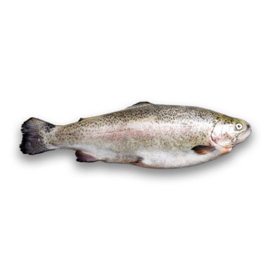 Picture of Black Sea Salmon - 1.7 kg