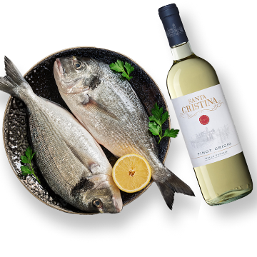 Picture of 2x Sea Bream & Pinot Grigio