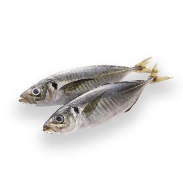 Picture of Black Sea Horse Mackerel - 1 kg