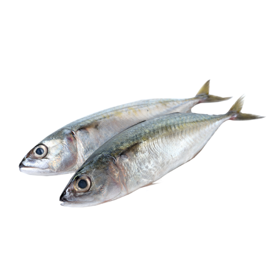 Picture of Indian Ocean Mackerel - 1 kg