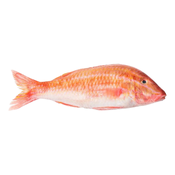 Picture of Indian Goatfish/Red Mullet - 1 kg