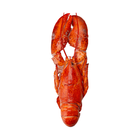 Picture of Frozen Canadian Lobster 450/500